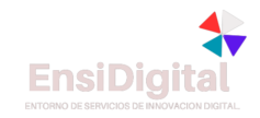 ensidigital.net